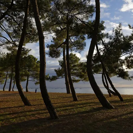 Cocon Apaisant Sur Le Bassin D'arcachon