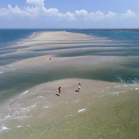 Cocon Apaisant Sur Le Bassin D'arcachon Holiday home *