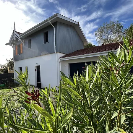 Cocon Apaisant Sur Le Bassin D'arcachon Holiday home