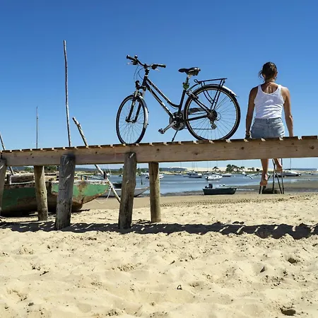 Cocon Apaisant Sur Le Bassin D'arcachon Holiday home