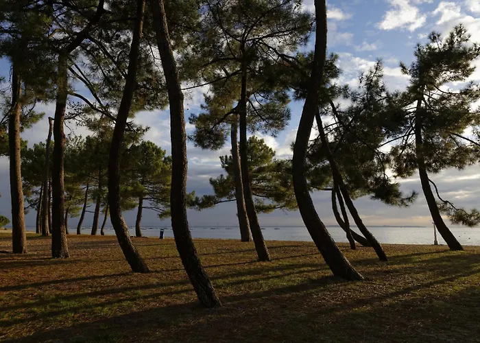Cocon Apaisant Sur Le Bassin D'arcachon